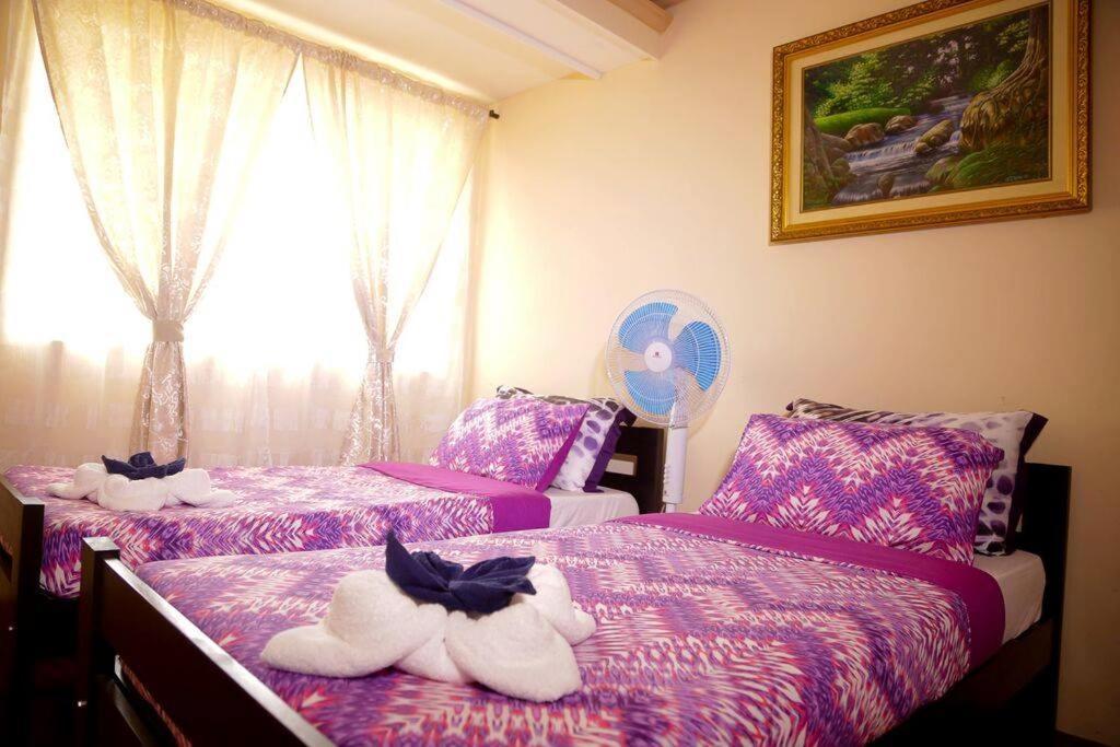 Florabells Iraya Guest House - Batanes Basco Esterno foto